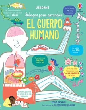 EL CUERPO HUMANO