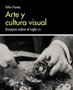 ARTE Y CULTURA VISUAL: ENSAYOS SOBRE EL SIGLO XX