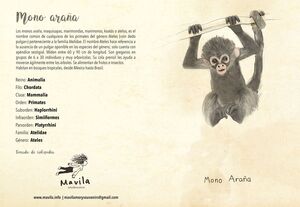 LIBRETAS HABITAT - ANIMALES BEBÉS MAVILA